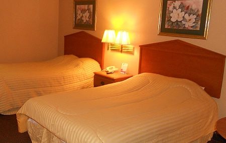 0706704_XL-450x285-1